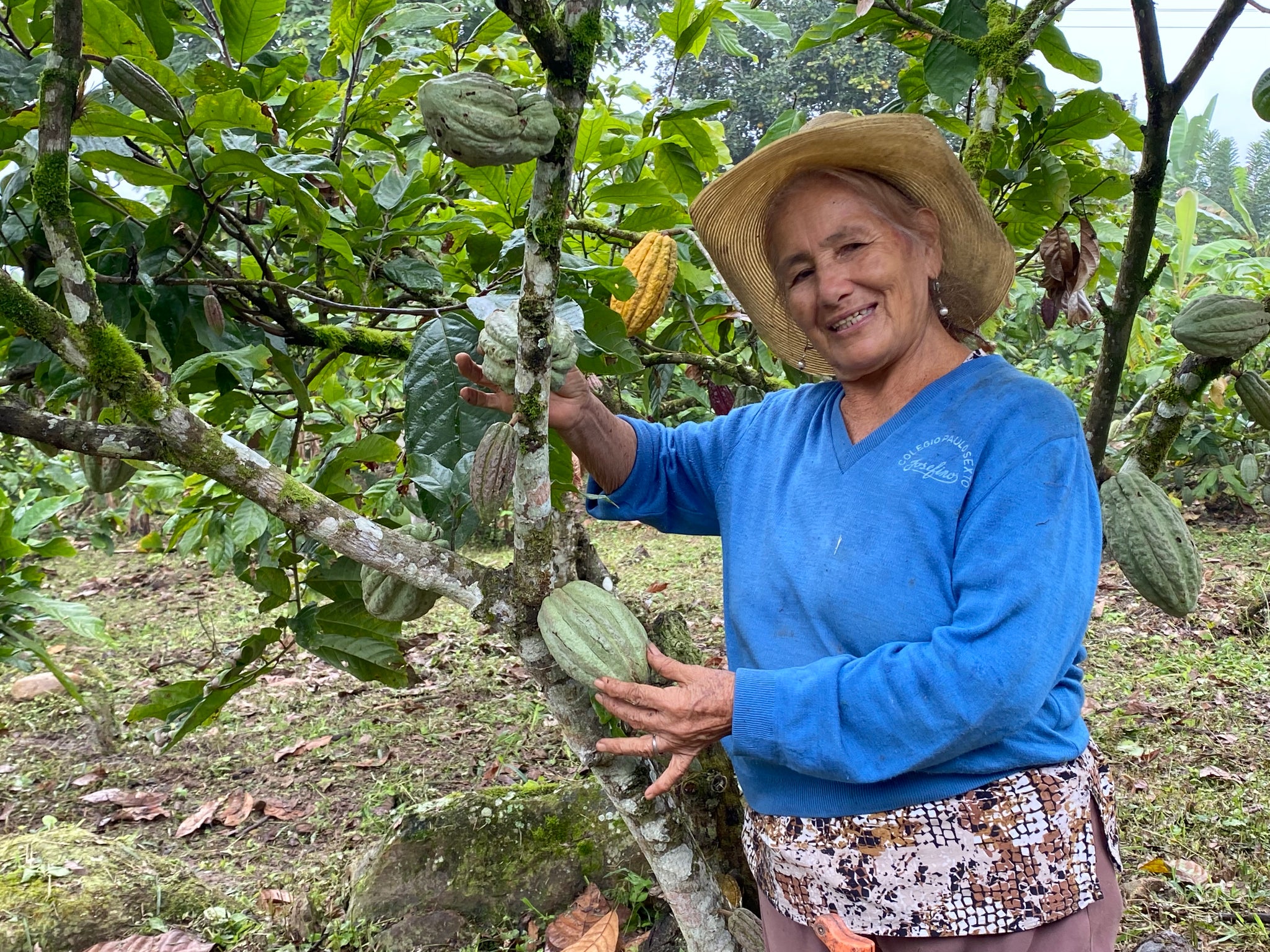 cecao-ecuador